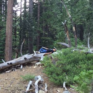 Meet your Posher, Mario